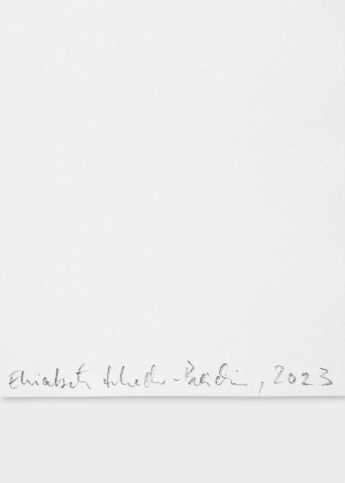'Rose, white' 2023 Cyanotype Print by Elisabeth Scheder-Bies