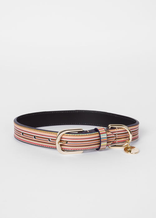 Signature Stripe Calf Leather Dog Collar by Paul Smith